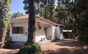 Floral Garden House